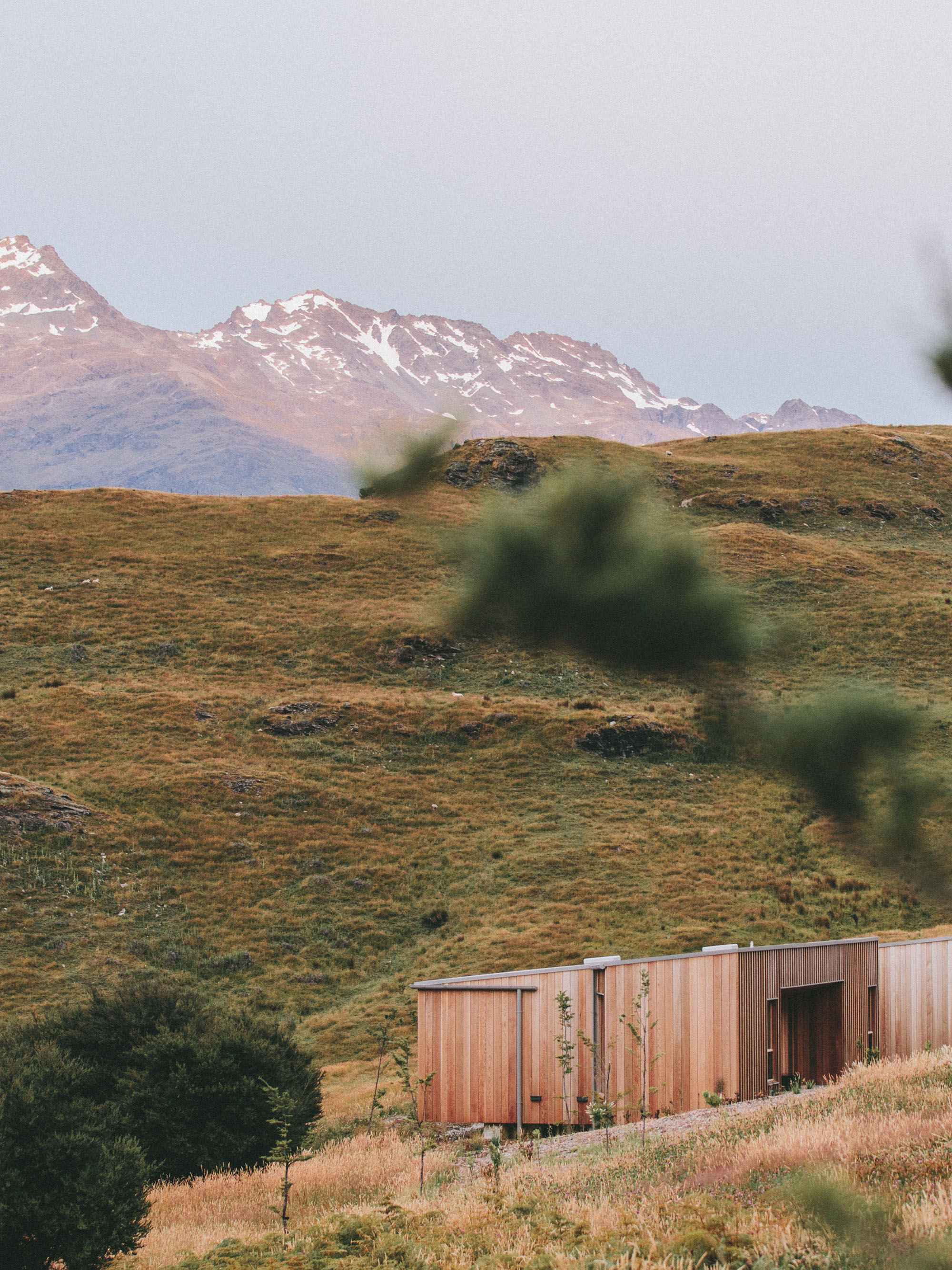 Pellentesque Risus Ridiculus